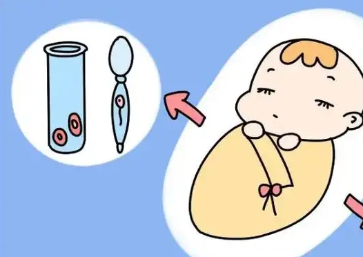 上海供卵中心好柿花生:技术解析与流程详解