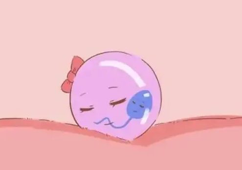 好柿花生试管婴儿费用：上海透明价格指南