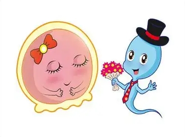 上海好柿花生借卵机构:借卵流程透明,专业团队推荐